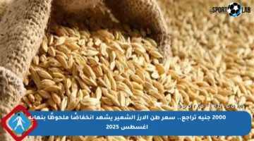 2000 جنيه تراجع.. سعر طن الأرز الشعير يشهد انخفاضًا ملحوظًا بنهاية أغسطس 2025